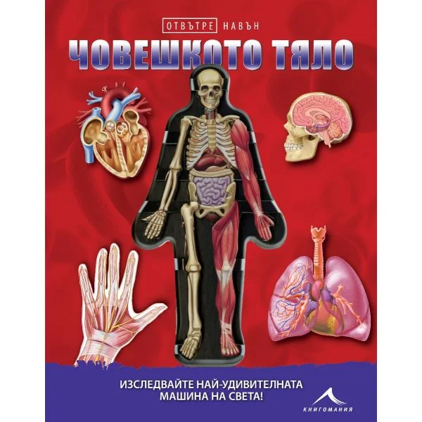 Човешкото тяло. Отвътре навън